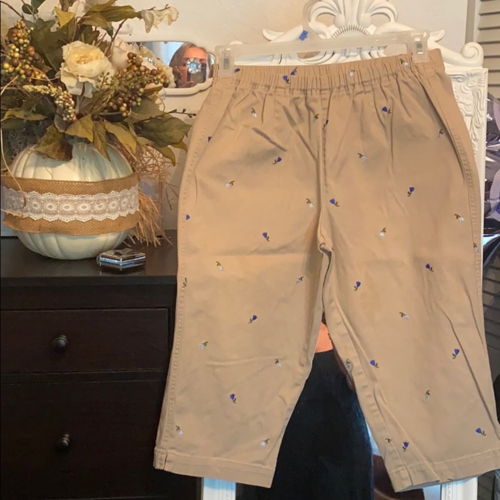 Ladies capris in excellent shape .